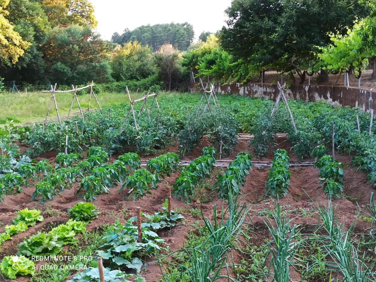 Finca Vergel Gata Extérieur photo